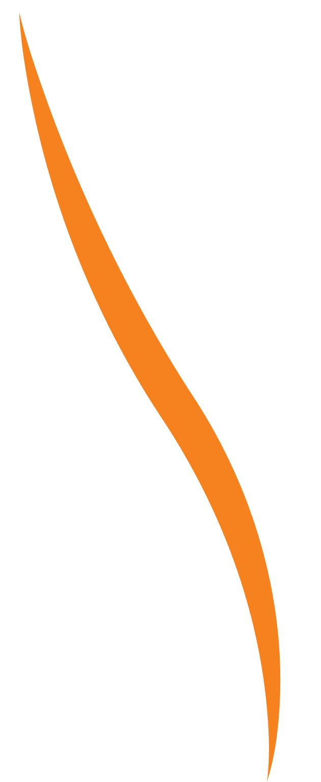 Orange Decoration